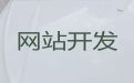 新疆网站开发服务公司-企业获客渠道，定制开发