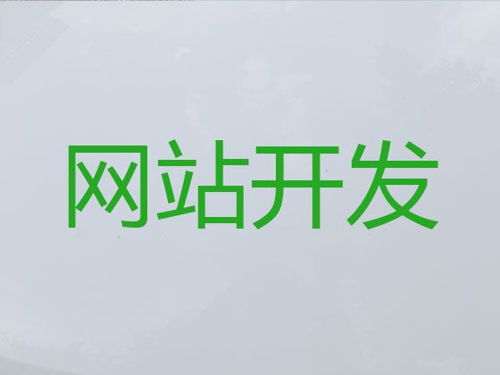 宜春网站定制开发公司|SEO网络推广，专业开发团队