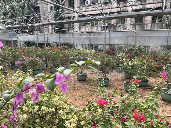 健身气功八段锦教学：动作分解、呼吸配合与养生功效