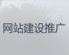 漳州专业网站建设开发-定制化网站开发，多年专业建站经验